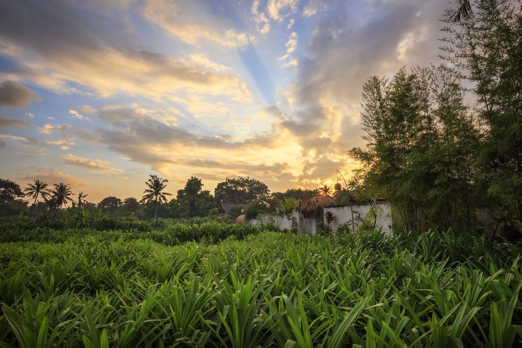 The Pandan Tree Villas Canggu  Bagian luar foto