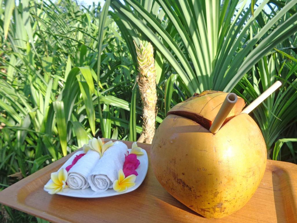 The Pandan Tree Villas Canggu  Bagian luar foto